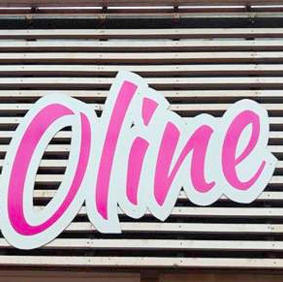 Oline logo Dianalund Centret